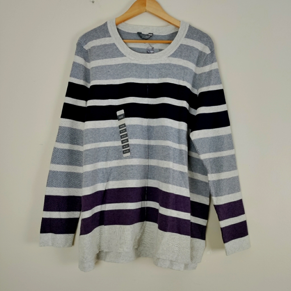 Denver Hayes Stripe Scoop neck Rib Knit Cream Multicolor Pullover Sweater NWT